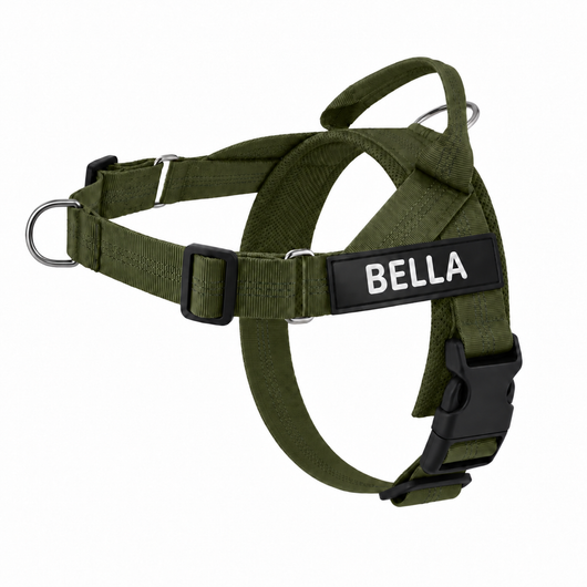 Evertail Personalized No-Pull Harness