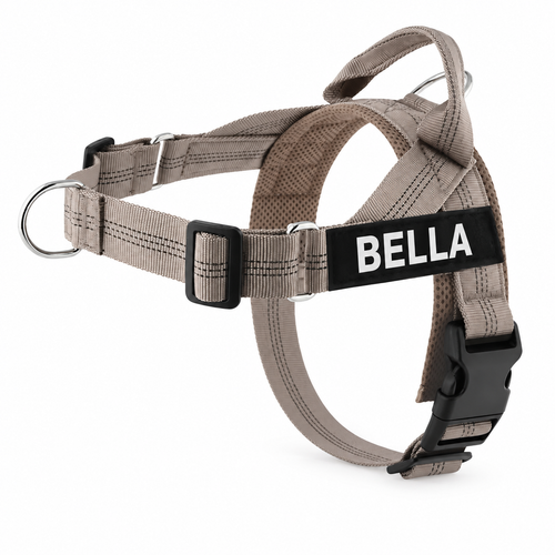 Evertail Personalized No-Pull Harness: where to measure