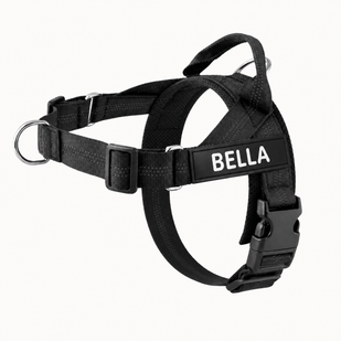 The no-pull harness