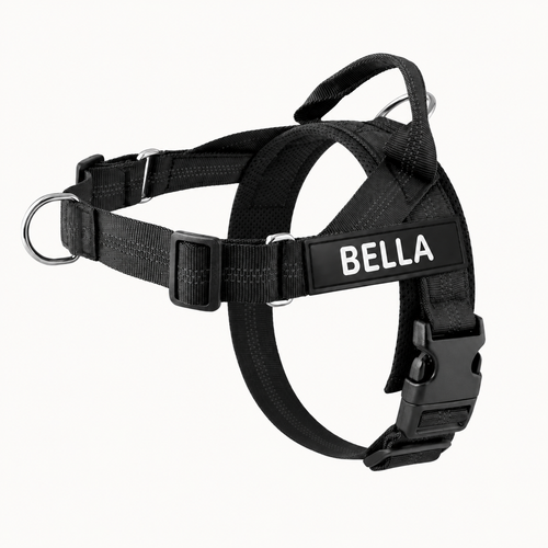 Evertail Personalized No-Pull Harness