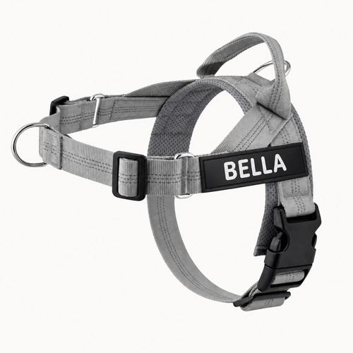 Evertail Personalized No-Pull Harness