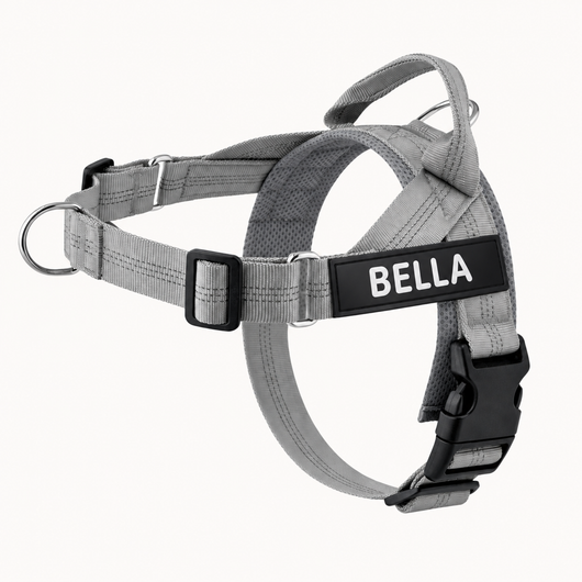 Evertail Personalized No-Pull Harness