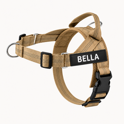 Evertail Personalized No-Pull Harness