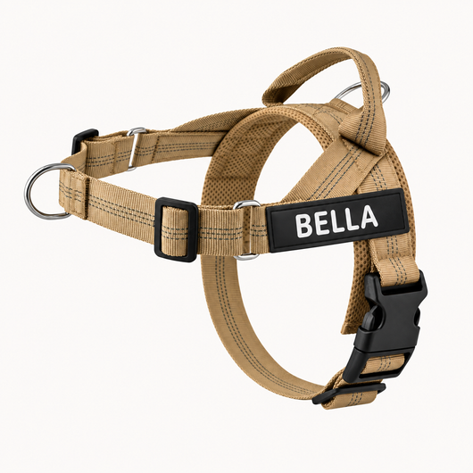 Evertail Personalized No-Pull Harness