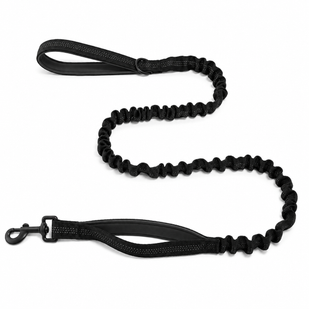 The matching leash, free