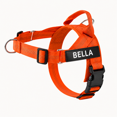 Evertail Personalized No-Pull Harness