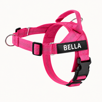 Evertail Personalized No-Pull Harness