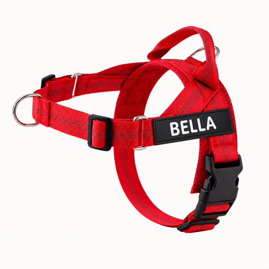 Evertail Personalized No-Pull Harness