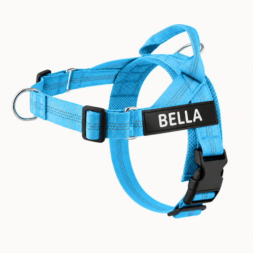 Evertail Personalized No-Pull Harness