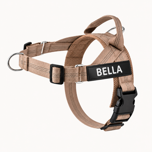 Evertail Personalized No-Pull Harness