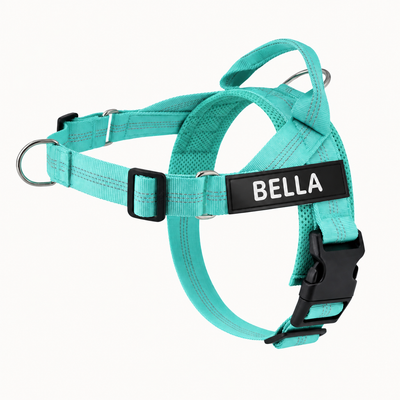 Evertail Personalized No-Pull Harness