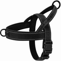 No-Pull Harness