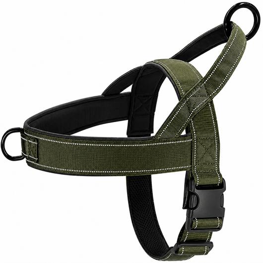 No-Pull Harness