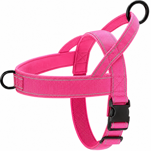No-Pull Harness