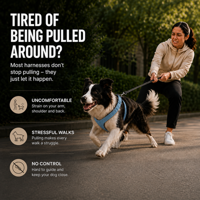 No-Pull Harness