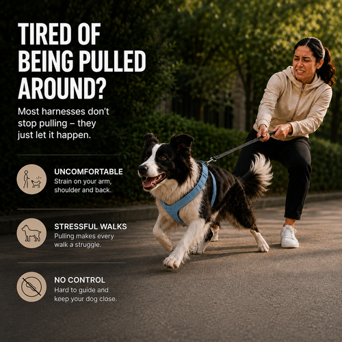 No-Pull Harness
